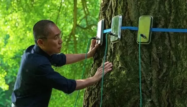 梁朝伟《寂静的朋友》内地票房四天270万，威尼斯获奖文艺片遇冷 相关图片