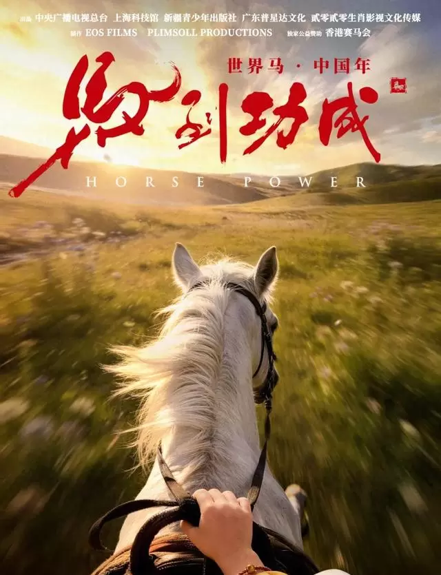 纪录电影《马到功成》定档2026丙午马年，书云任总制片人，六国实拍重构“马”的文明叙事 相关图片