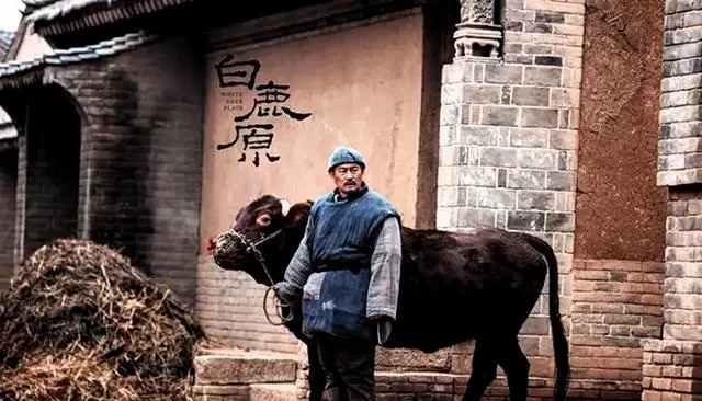 鹿三刺杀田小娥戏份重审：白鹿原宗法秩序下的精神崩解实录 细节速览